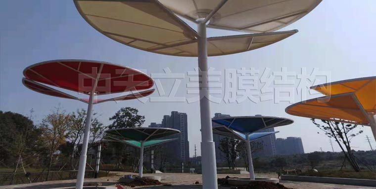 中天立美 -张拉膜完工照2